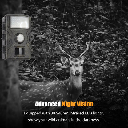 1080P Night Vision Trail Camera – High-Definition Wildlife Monitoring, Motion-Activated Cam