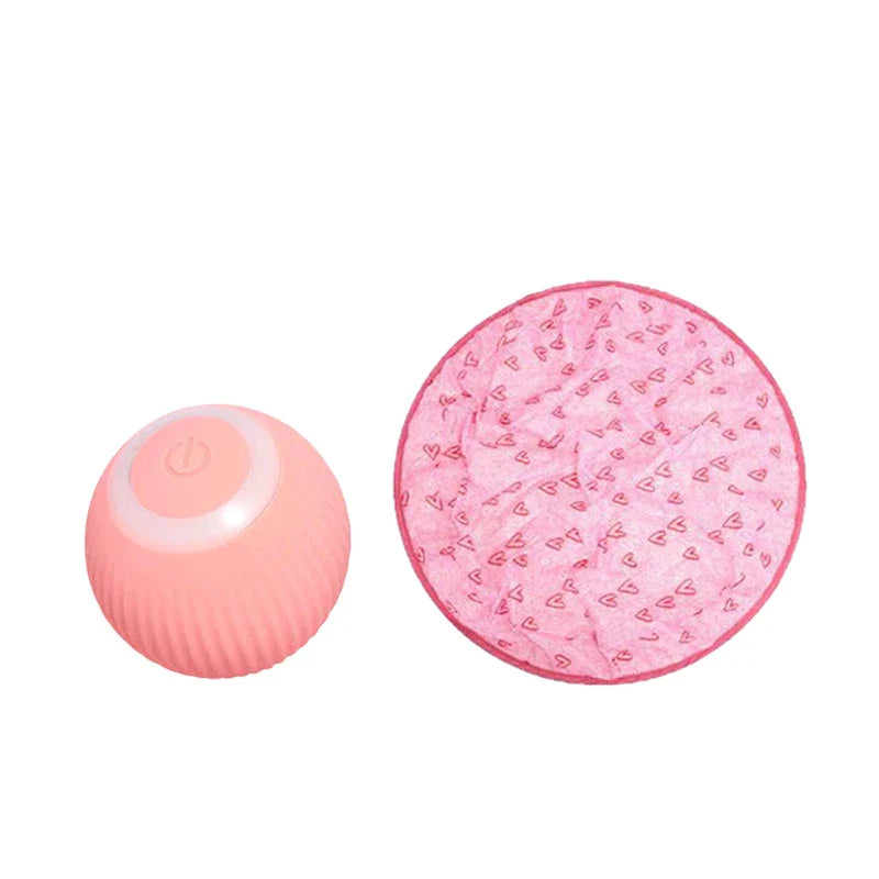 2-in-1 Interactive Hunting Cat Toy with Realistic Simulation
