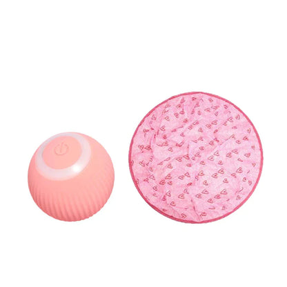 2-in-1 Interactive Hunting Cat Toy with Realistic Simulation