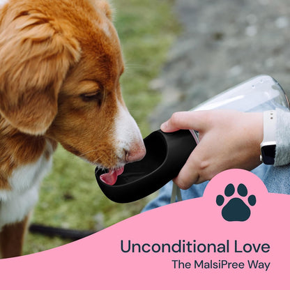 19 oz Portable Dog Water Bottle - Leak-Proof, Travel-Ready Hydration On The Go