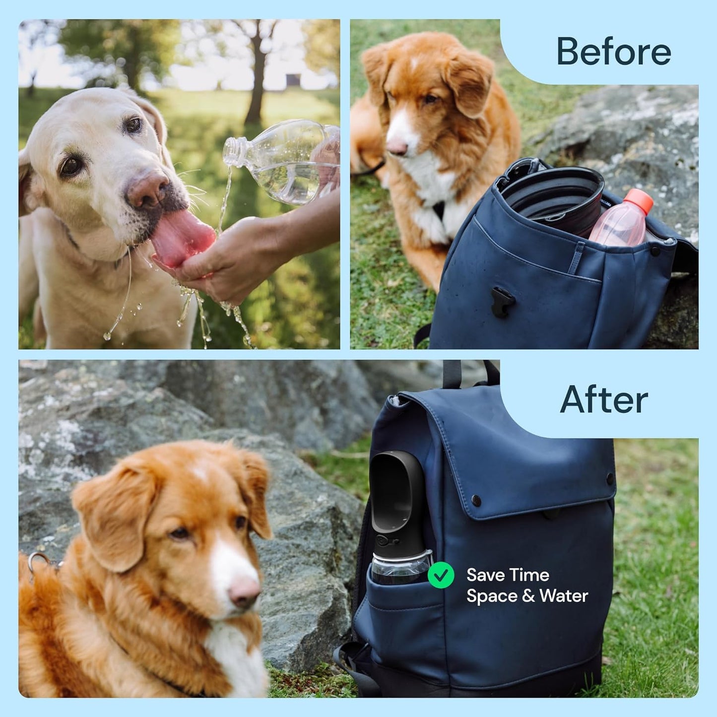 19 oz Portable Dog Water Bottle - Leak-Proof, Travel-Ready Hydration On The Go