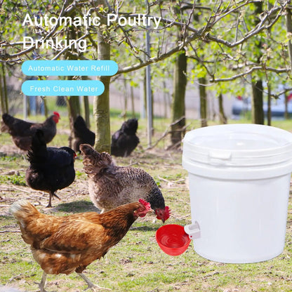 Set of 10 Chicken Waterers