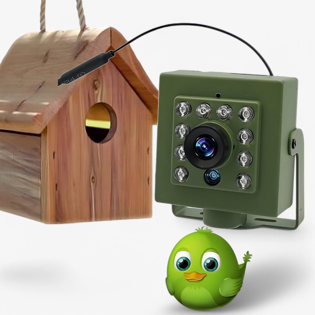 Rugged 1080p HD Weatherproof Wildlife Camera with Night Vision, Motion Detection, and Remote Access