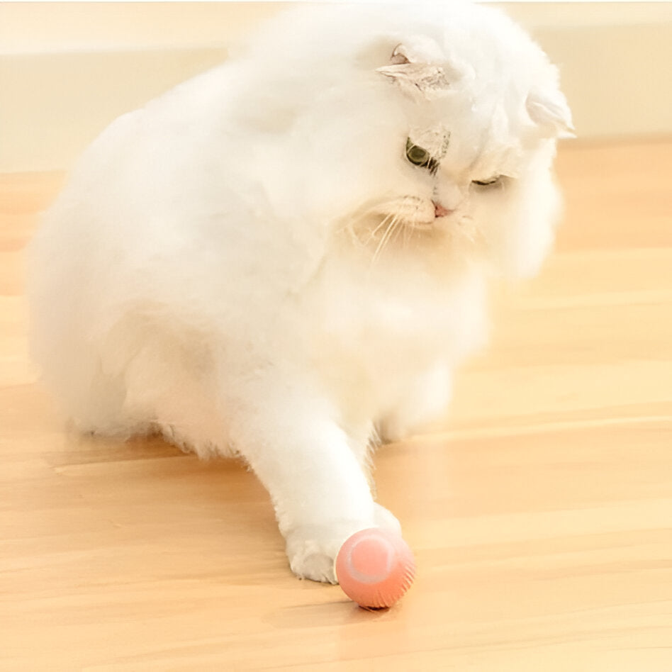 2-in-1 Interactive Hunting Cat Toy with Realistic Simulation