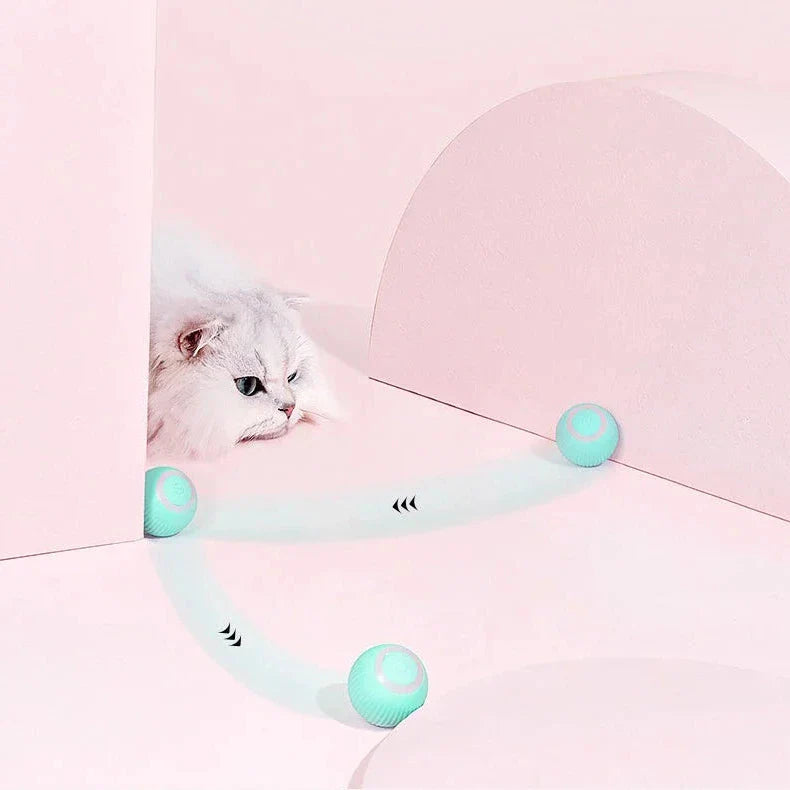 2-in-1 Interactive Hunting Cat Toy with Realistic Simulation