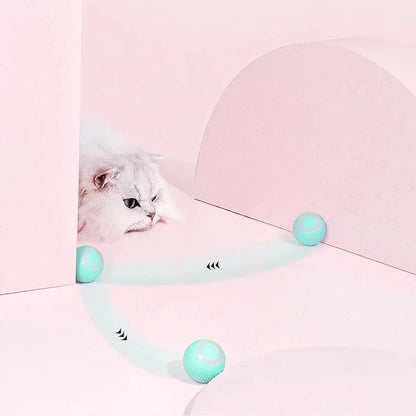 2-in-1 Interactive Hunting Cat Toy with Realistic Simulation