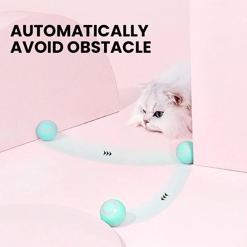 2-in-1 Interactive Hunting Cat Toy with Realistic Simulation