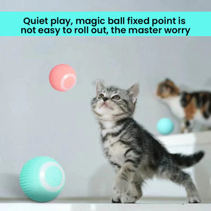 2-in-1 Interactive Hunting Cat Toy with Realistic Simulation