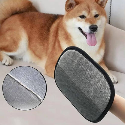 Two-Piece Pet Hair Remover Tool Set