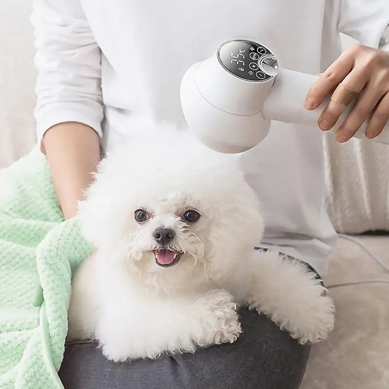 2-in-1 Smart Dog Hair Dryer for Fast, Gentle Grooming
